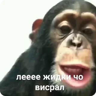😂 emoji Создано в @sozdsti_bot Telegram sticker 18 of 50