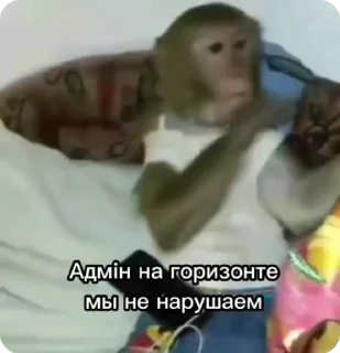 🙂 emoji Создано в @sozdsti_bot Telegram sticker 11 of 50