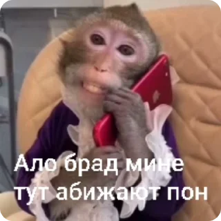 📞 emoji Создано в @sozdsti_bot Telegram sticker 19 of 50
