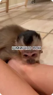 😂 emoji Создано в @sozdsti_bot Telegram sticker 24 of 50