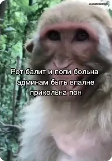 😁 emoji Создано в @sozdsti_bot Telegram sticker 12 of 50