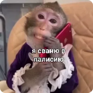 📞 emoji Создано в @sozdsti_bot Telegram sticker 8 of 50