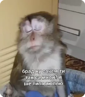 🥺 emoji Создано в @sozdsti_bot Telegram sticker 2 of 50