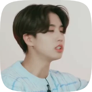 Sticker from JISUNG BY @STIKK4RS
