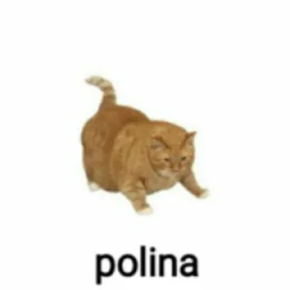 🌟 emoji Полина правит миром Telegram sticker 4 of 15