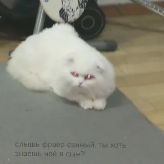 Sticker from тьма правит миром