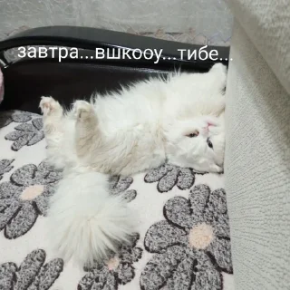 Sticker from тьма правит миром