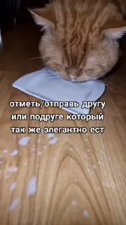 🌟 emoji Мемы какого-то года Telegram sticker 6 of 50