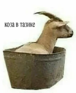 🌟 emoji Мемы какого-то года Telegram sticker 2 of 50