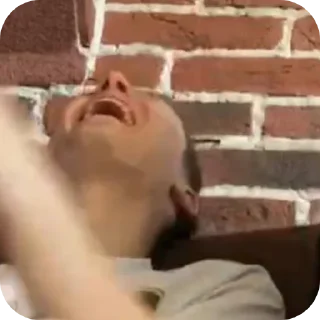 🤣 emoji Мш сожгли хату Telegram sticker 5 of 89