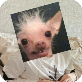 🙂 emoji Мш сожгли хату Telegram sticker 2 of 89