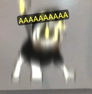 😂 emoji Двери хуйня пушка лучше @Ctikerubot Telegram sticker 21 of 81