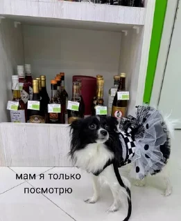 Sticker from под лирикой