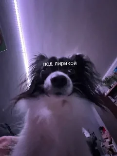 Sticker from под лирикой