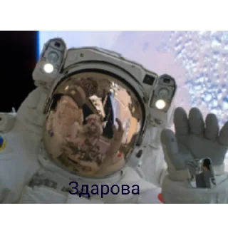 💿 emoji Понабирают Всяких Telegram sticker 7 of 20