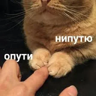 Sticker from Осуждаю!!