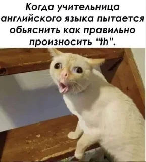 Sticker from Осуждаю!!