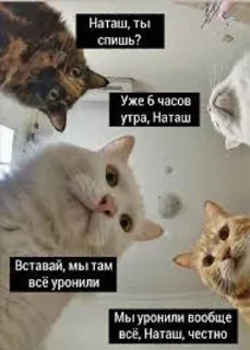 Sticker from Осуждаю!!