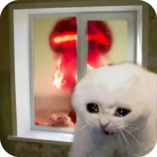 Sticker from Просто ржачные коты