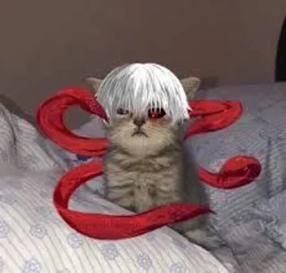 Sticker from Ghoul cat