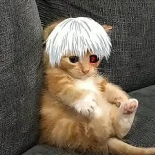 Sticker from Ghoul cat