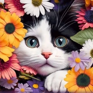 Sticker from Cat