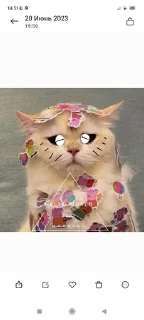 Sticker from Cat