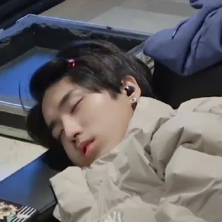 💤 emoji jison hamster < by @lisqq_q > Telegram sticker 20 of 30
