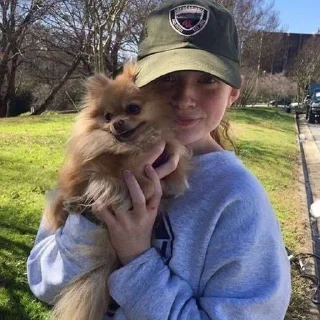 🐕 emoji сэди - osd🧟‍♀️ (автор) Telegram sticker 11 of 15