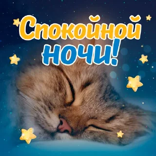 ❤️ emoji @pozdravlenia0 ⬅️ Открытки тут Telegram sticker 22 of 23