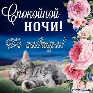 ❤️ emoji @pozdravlenia0 ⬅️ Открытки тут Telegram sticker 19 of 23