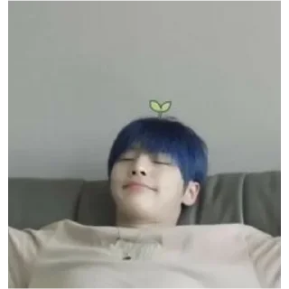 🌱 emoji аги пан @lovely_skz Telegram sticker 18 of 73