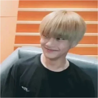 🙂 emoji аги пан @lovely_skz Telegram sticker 19 of 73