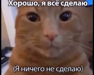 Sticker from Хард_нафиг_ворк