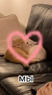 🌟 emoji Китикет☺️🫶 Telegram sticker 24 of 54