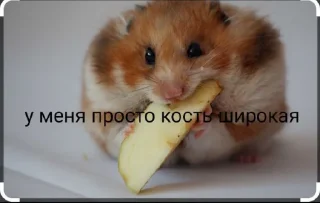 Sticker from Хома @TgEmodziBot