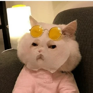 😎 emoji Ya kotik ti kotik Telegram sticker 18 of 27