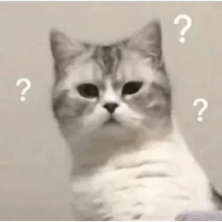 🤨 emoji Ya kotik ti kotik Telegram sticker 2 of 27