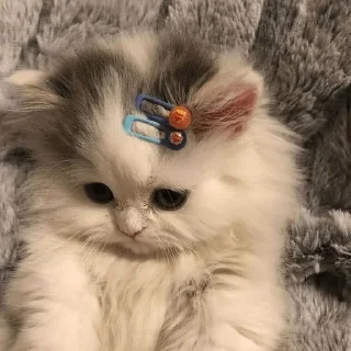 💗 emoji Картошка сру @TgEmodziBot Telegram sticker 12 of 90