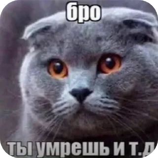 Sticker from @STICKRULE <- БОЛЬШЕ