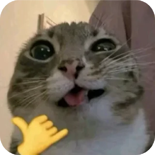 🐱 emoji @STICKRULE <- БОЛЬШЕ Telegram sticker 13 of 20