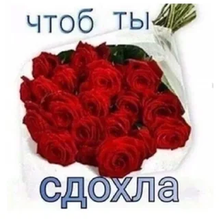 🖕 emoji мемы стикеры Telegram sticker 16 of 61