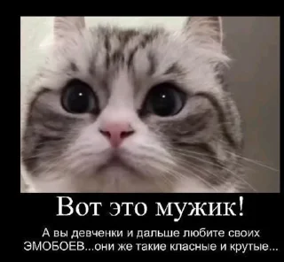Sticker from эчпочмак