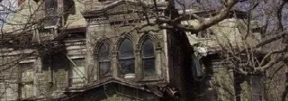 🌟 emoji yeji and kitten ?? Telegram sticker 15 of 16