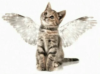 🌟 emoji культ кека лола Telegram sticker 15 of 56