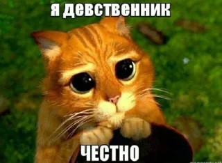 Sticker from сынша лавы