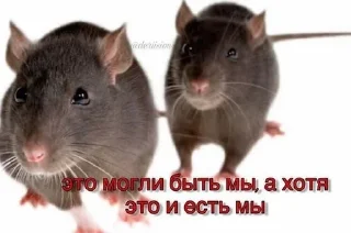 Sticker from Жизненно