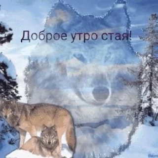 Sticker from шпенд