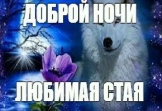 Sticker from шпенд