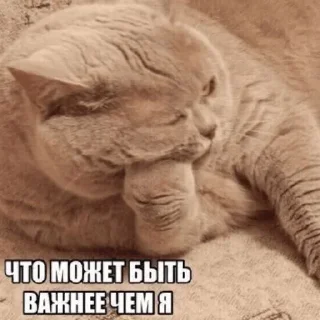 Sticker from Началось